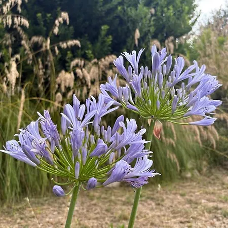 Appartamento Casa Delle Sorgenti Montefiore dellʼAso