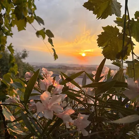 Appartamento Casa Delle Sorgenti Montefiore dellʼAso
